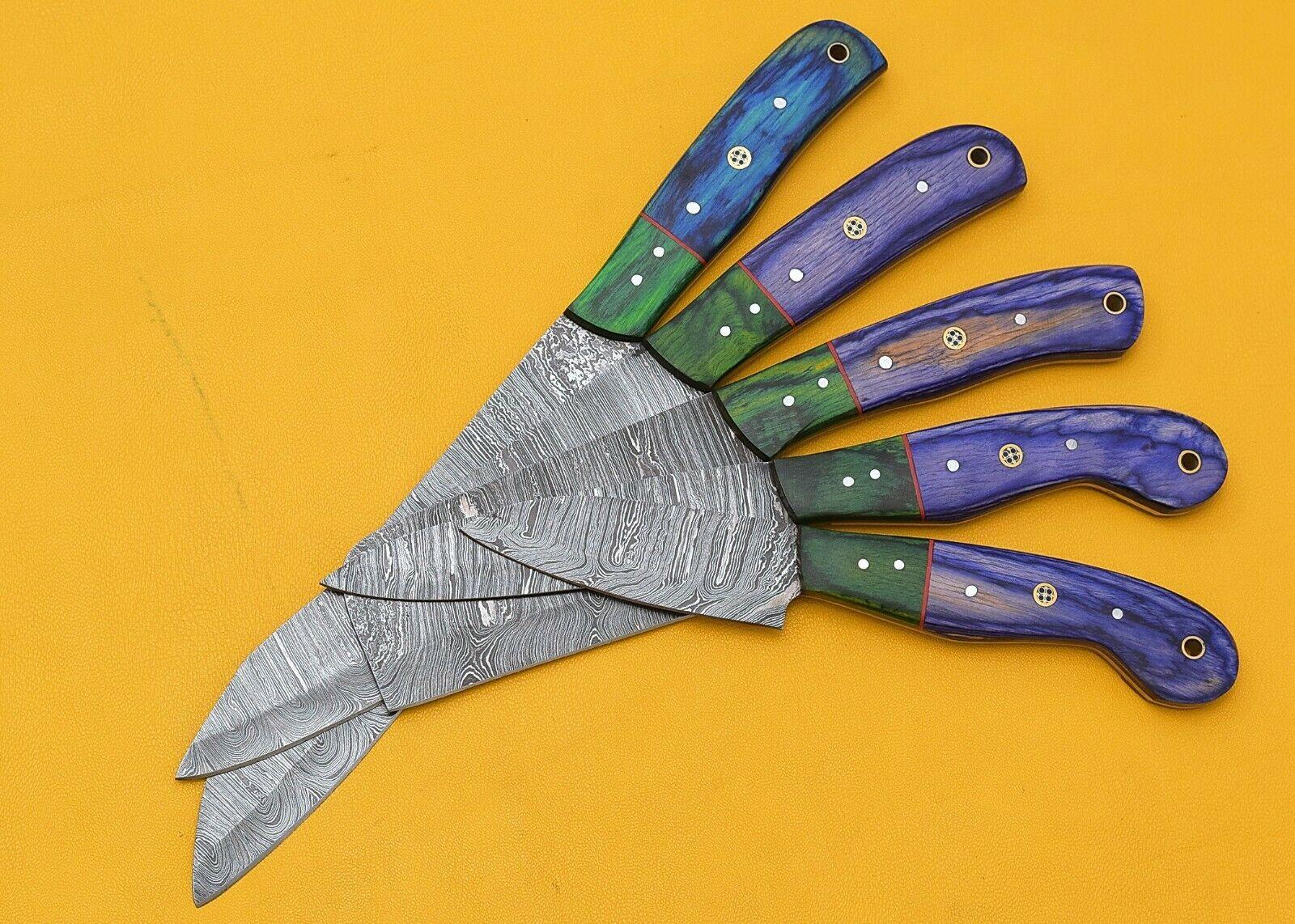 Custom Handmade Damascus Chef Knives Set of 5 with Leather Sheath
