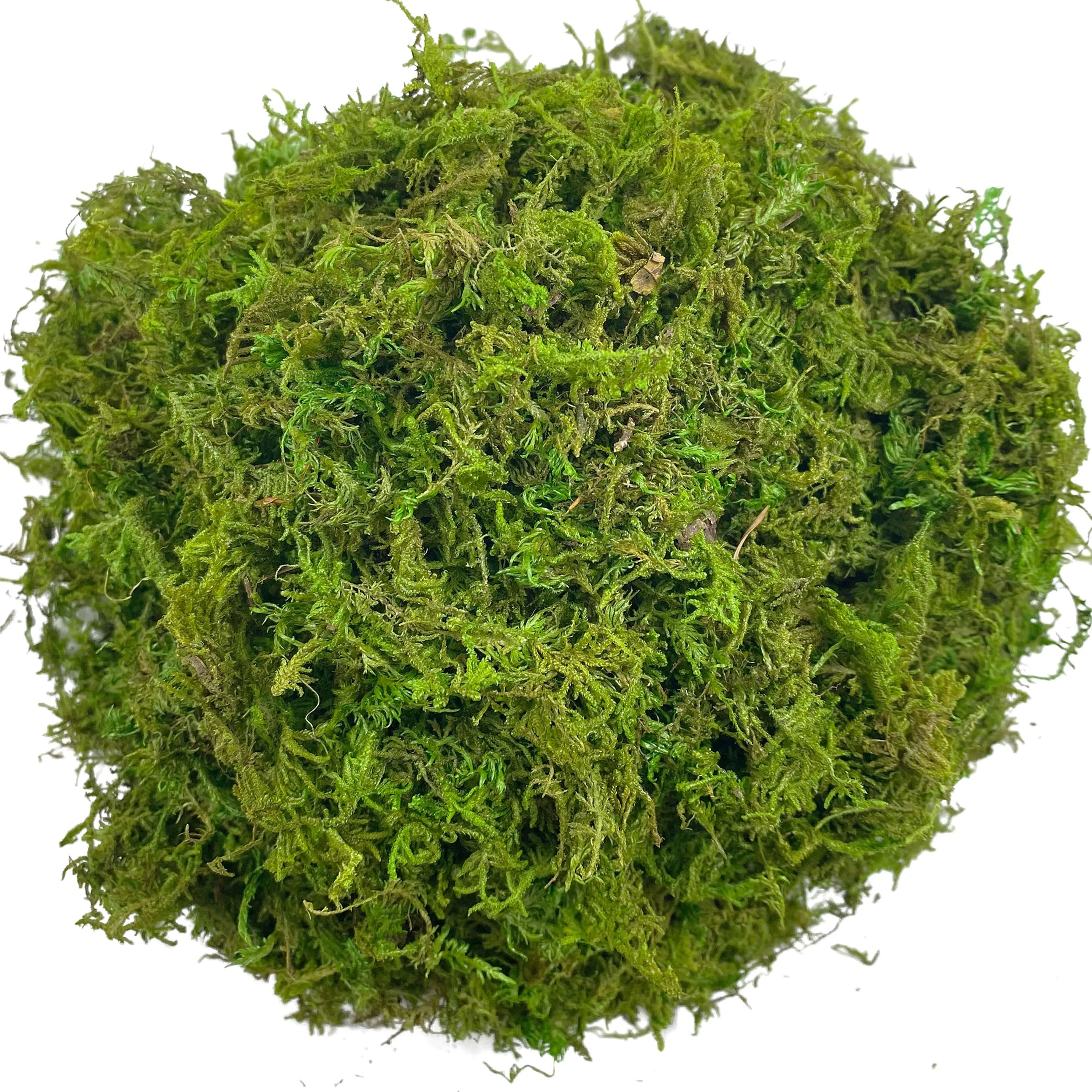 Artificial Green Moss | Premium Floral Craft & Orchid Potting Mix