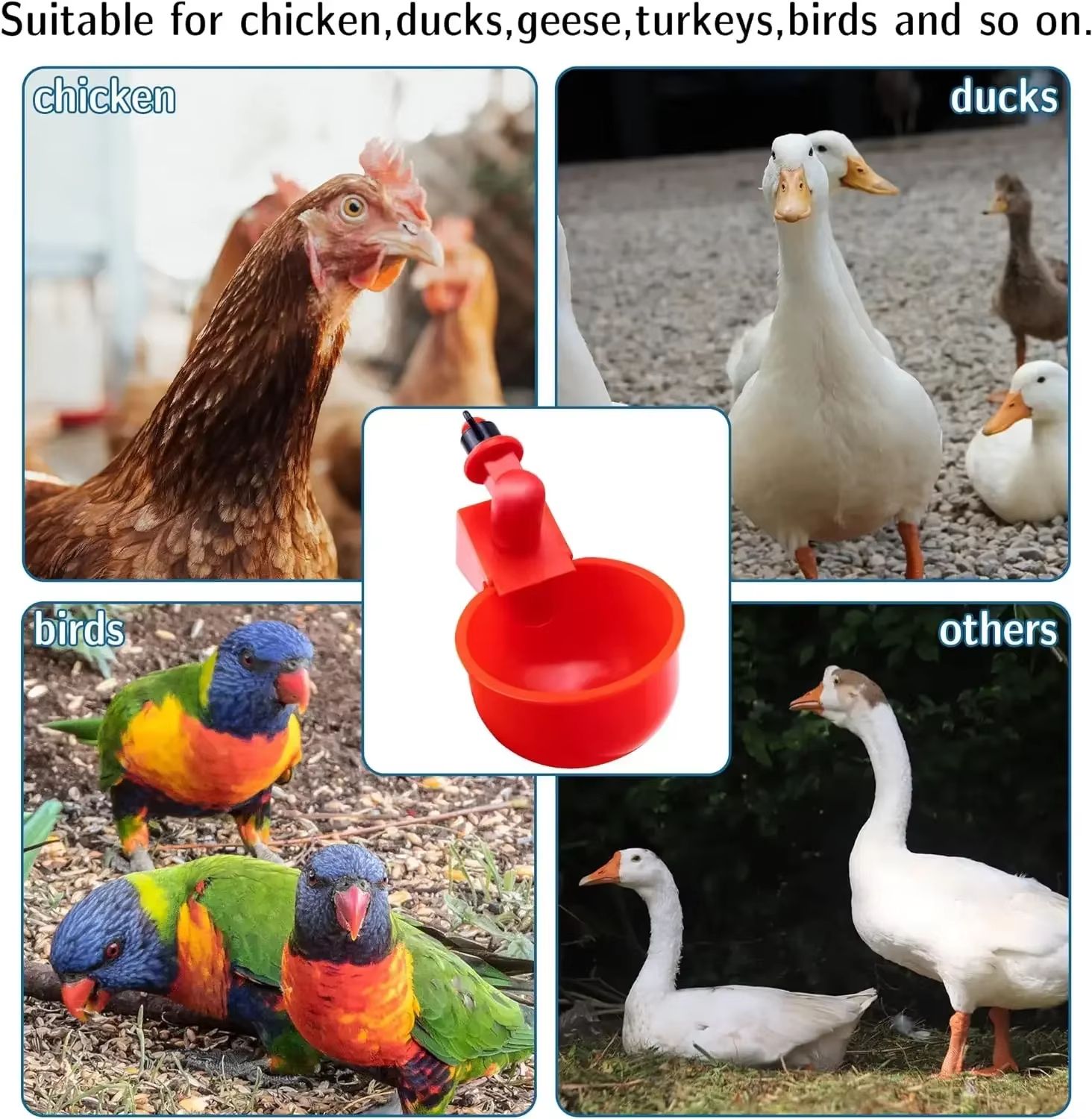 Automatic Poultry Drinking Cups – Easy Install Chicken & Duck Water Dispenser System