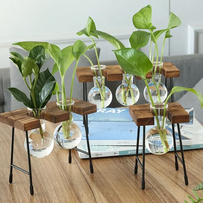 Hydroponic Plant Vase with Wooden Stand