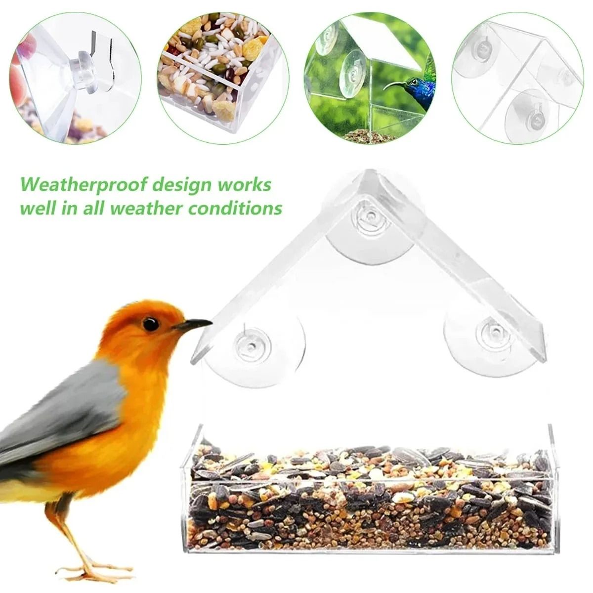 Clear View Window Bird Feeder