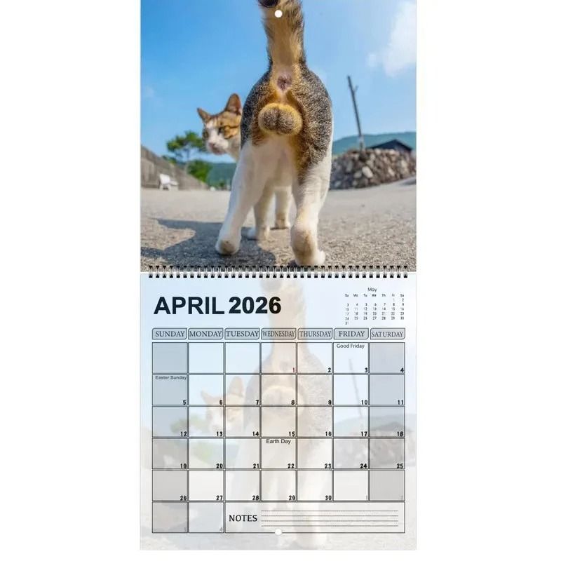 Funny 2026 Cats Buttholes Calendar Unique Humorous Monthly Planner for Gifting and Decor
