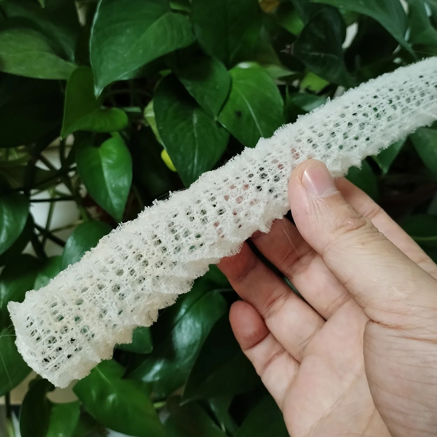 Venus Flower Basket Sea Sponge Ocean Shell Aquarium Natural Decor