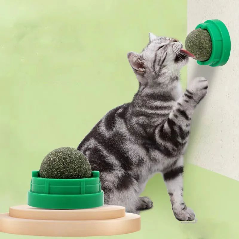 Wall-Mounted Catnip Ball Toy – Natural Cat Grass Treat & Self-Grooming Scratcher