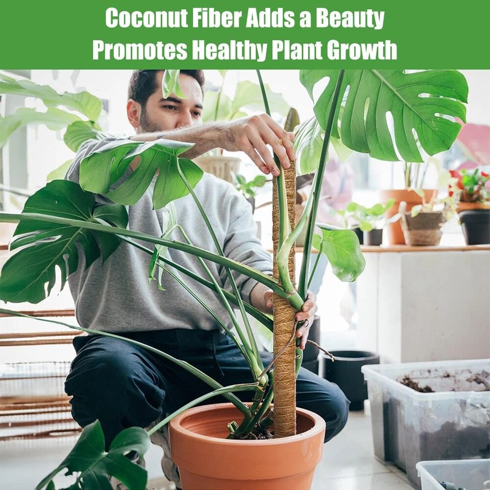 Coir Moss Pole for Climbing Plants, Monstera Support Stick for House Plants, Totem Support for Philodendrons