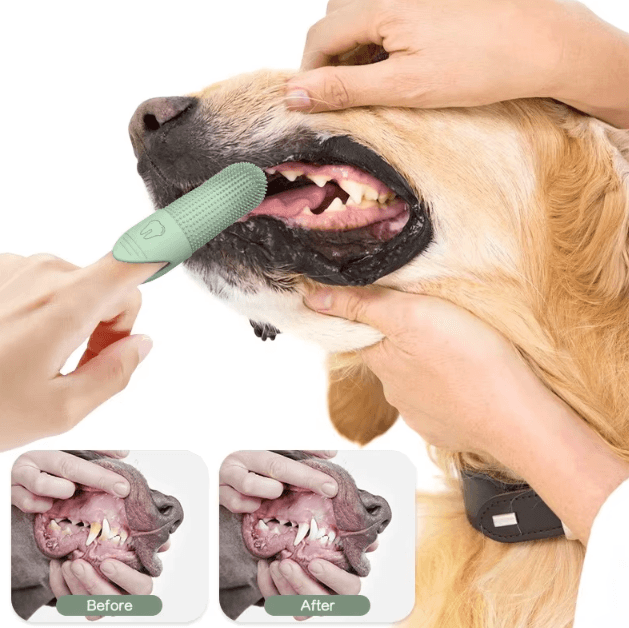 CleanPaw 360° Silicone Dog Finger Toothbrush for Cats & Dogs