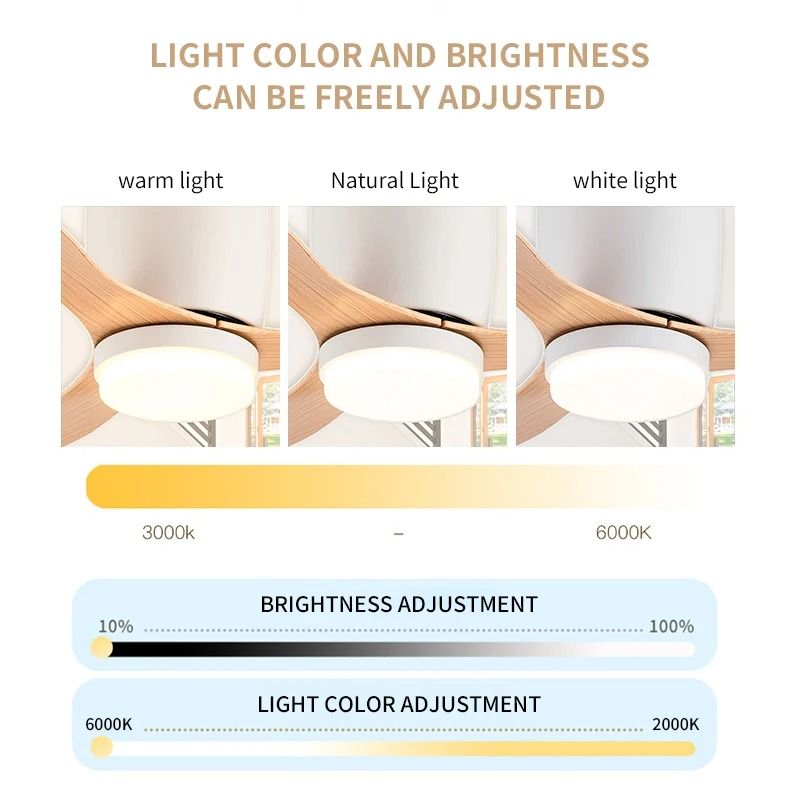 Modern LED Ceiling Fan with 6 Speed Settings and Light Strip