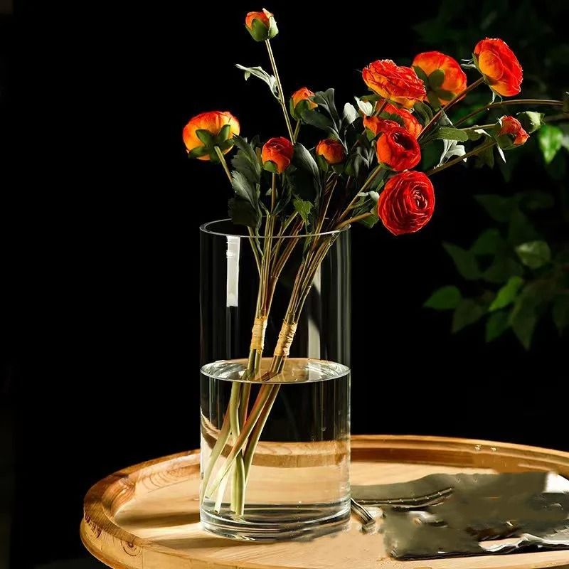 Desktop Glass Planter and Transparent Cylinder Vase