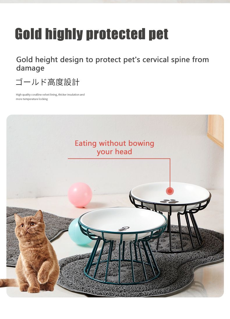 Elevated Ceramic Pet Food Bowl with Stand