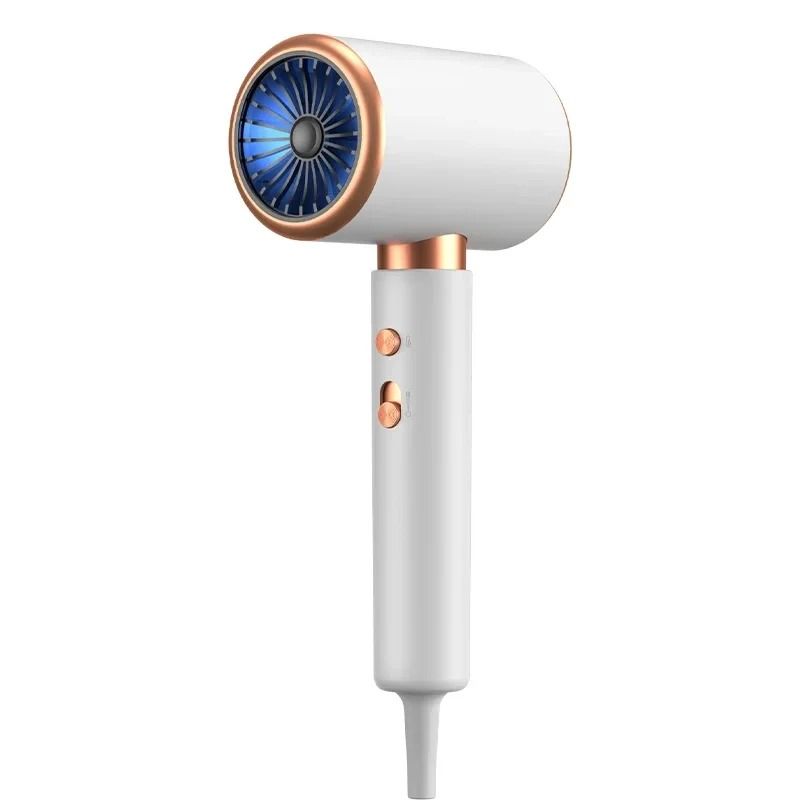 Premium 2000W Ionic Airflow Salon Dryer