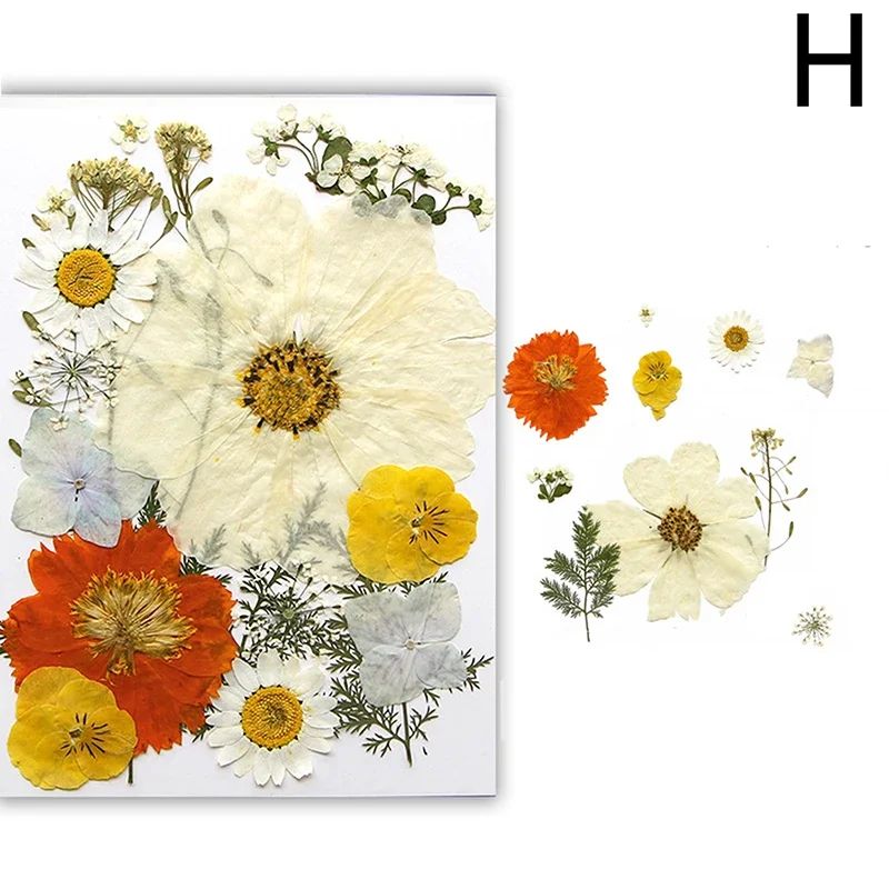 Natural Dried Flower Resin Fillers