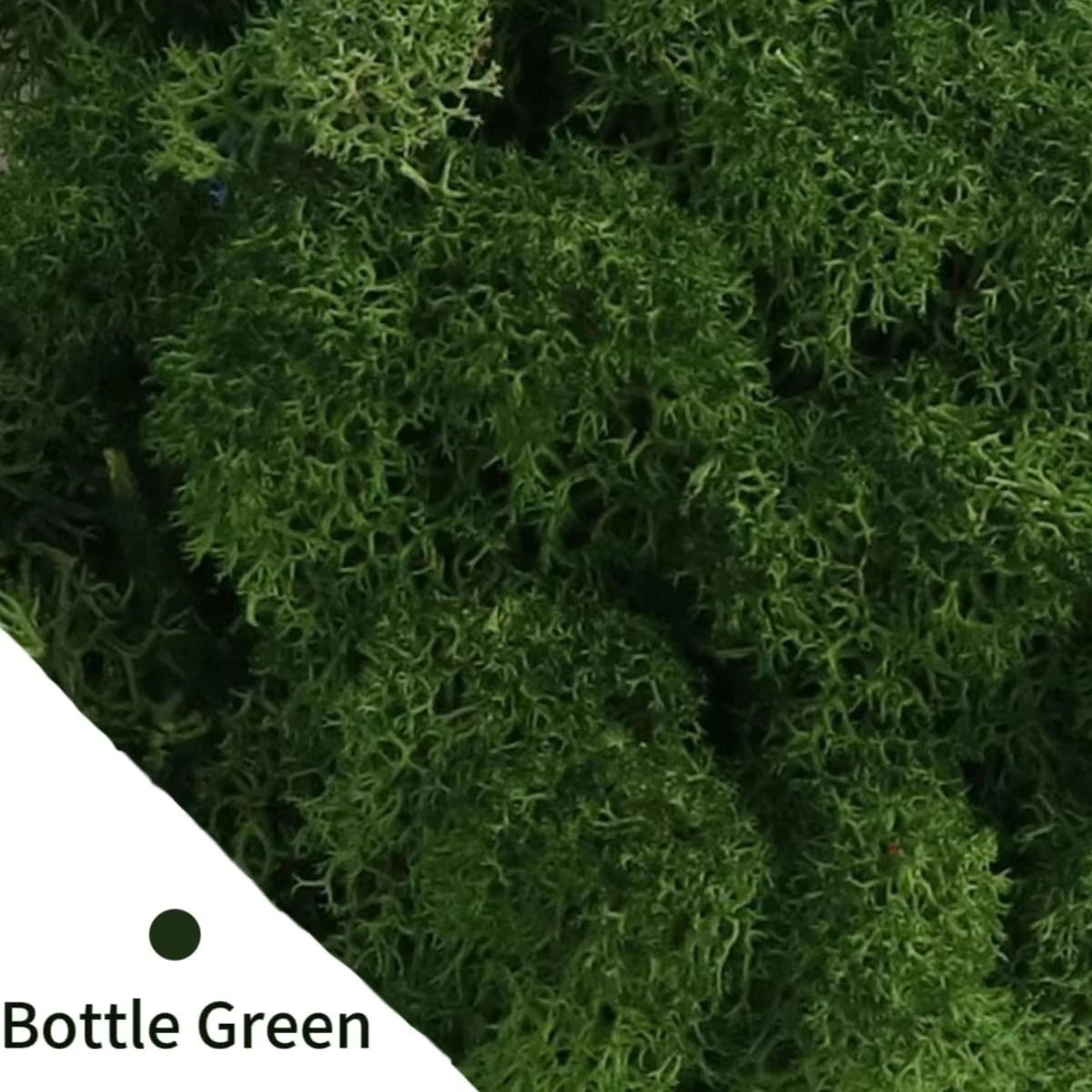 Natural Green Simulation Eternal Moss