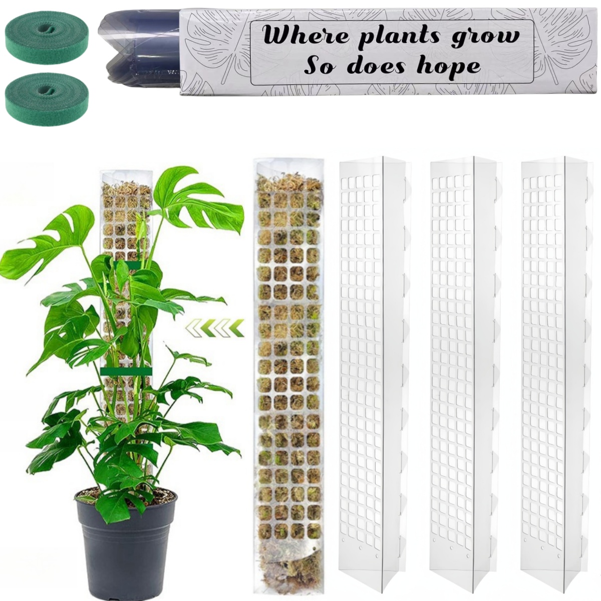 Moss Pole for Plants Indoor Plant Support Stick, Climbing Plant Tutor for Growth