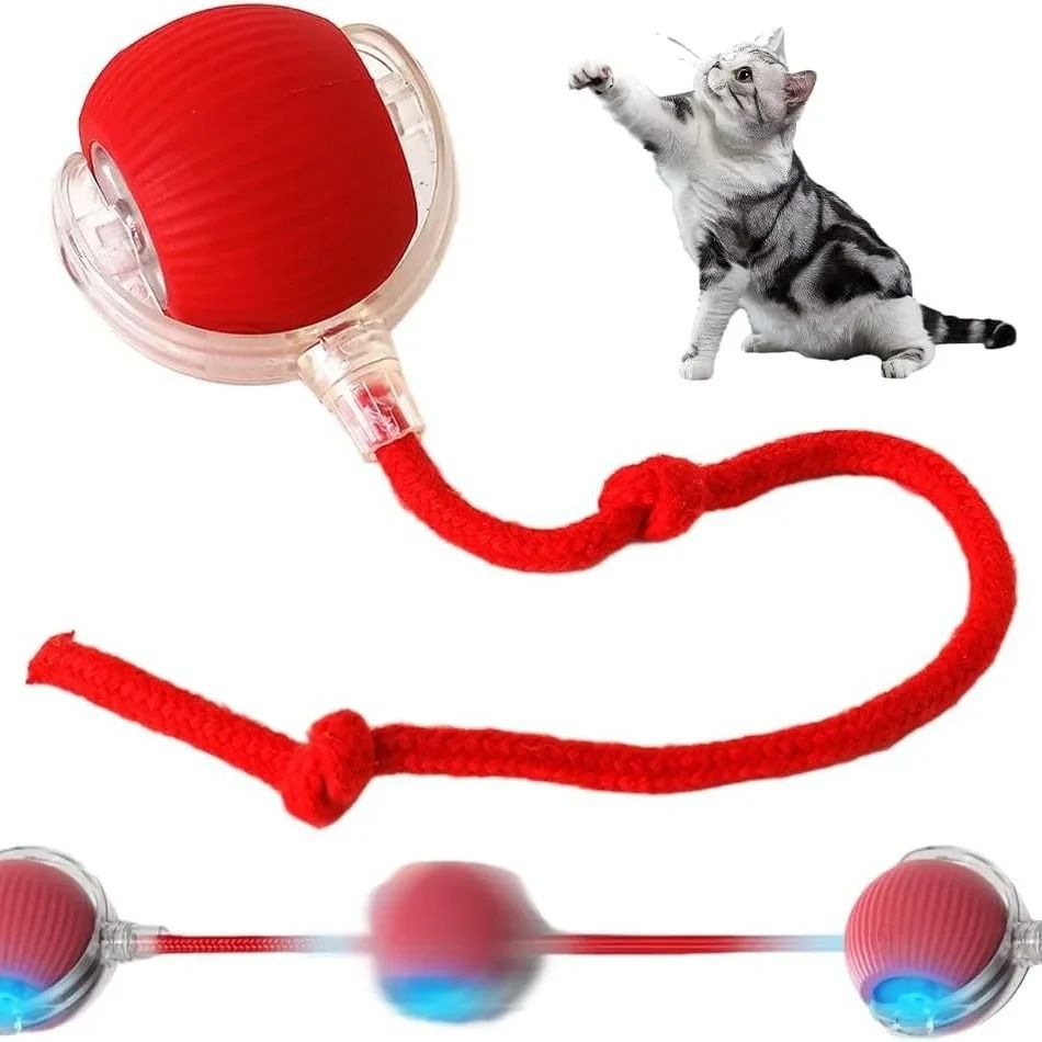 Automatic Rolling Interactive Pet Ball Rechargeable Cat and Dog Toy