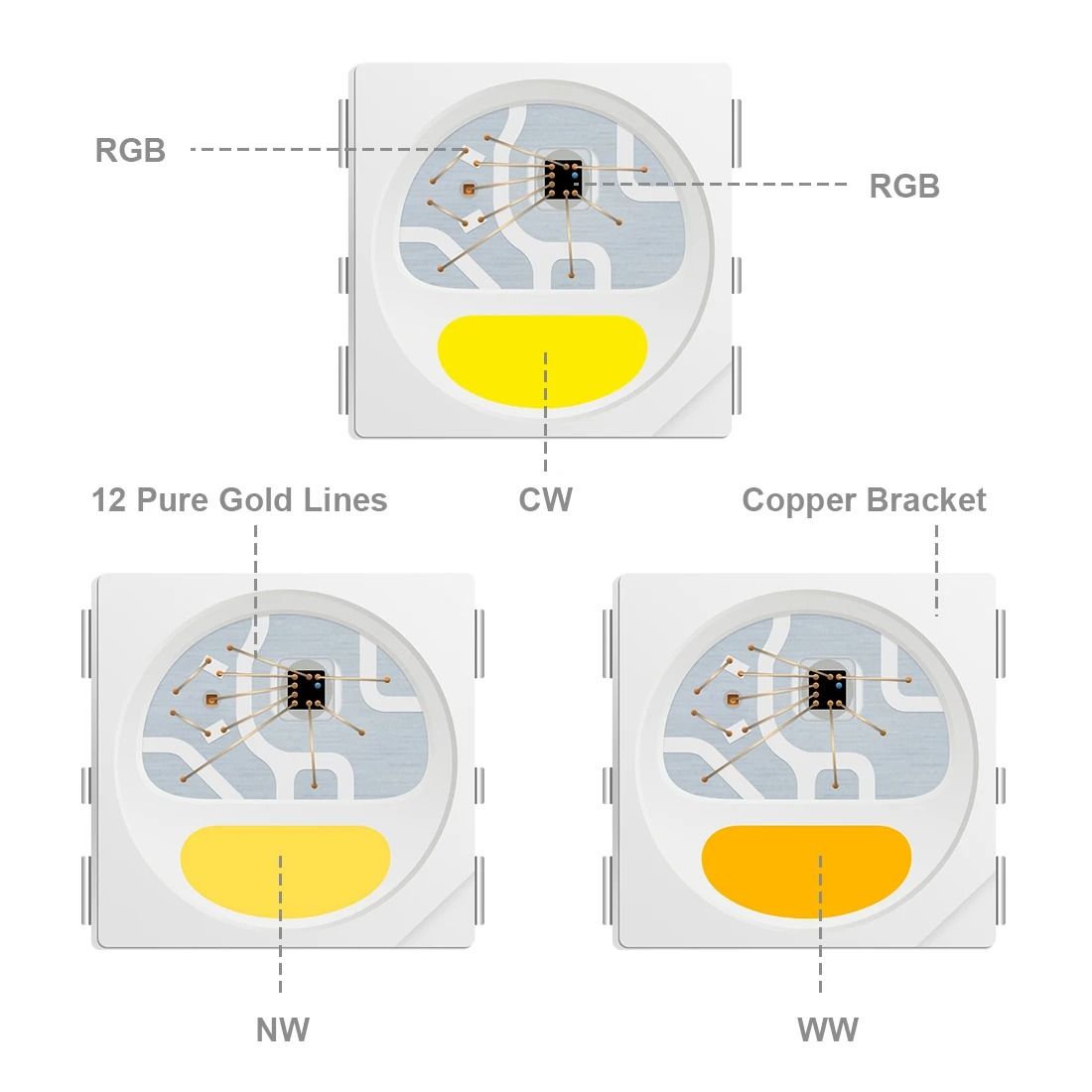 Elite RGBW Individual Addressable LED Series