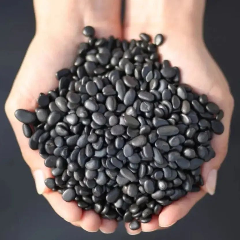 Natural Shungite Gravel Healing Crystal Stones 100g