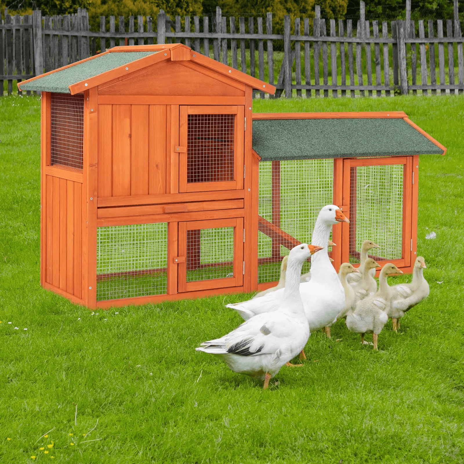 Premium Wooden Chicken Coop Hen House with Nesting Box & Run, Ideal for Backyard Poultry