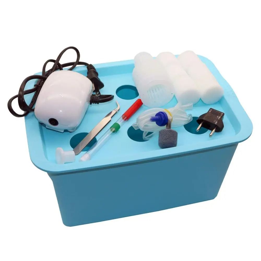 6-Hole Indoor Hydroponic Growth Kit – Smart Deep Water Culture Garden Box
