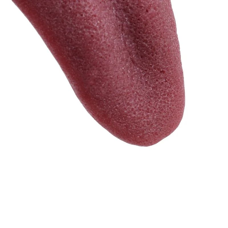 Realistic Magic Trick Fake Tongue Toy – Halloween Prank Gag & Kids Magic Prop