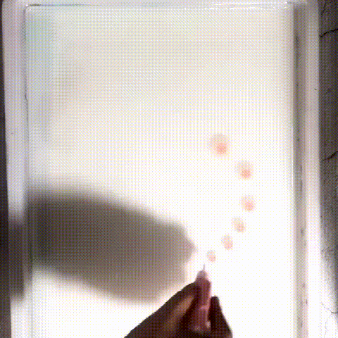 17013982376f664c0fe3.gif