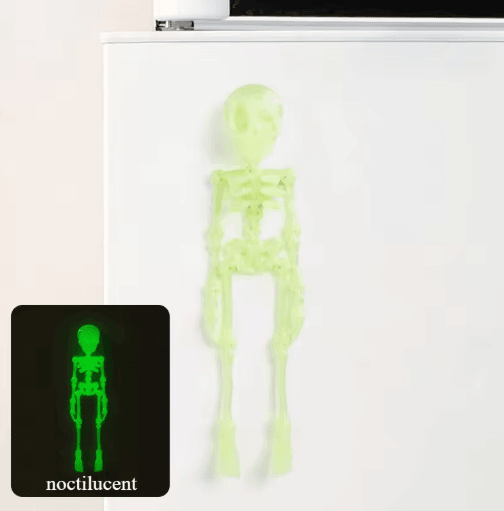 Poseable Magnetic Skull Fridge Magnet with Movable Joints