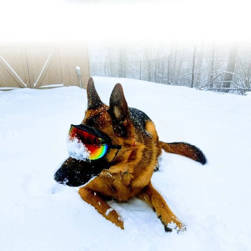 Dog Goggles UV Protection Eyewear