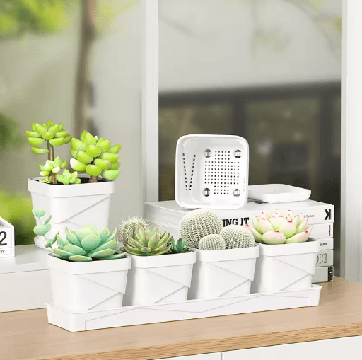 Square Ventilated Plastic Flower Pot Succulent Planter with Thick Drainage Tray