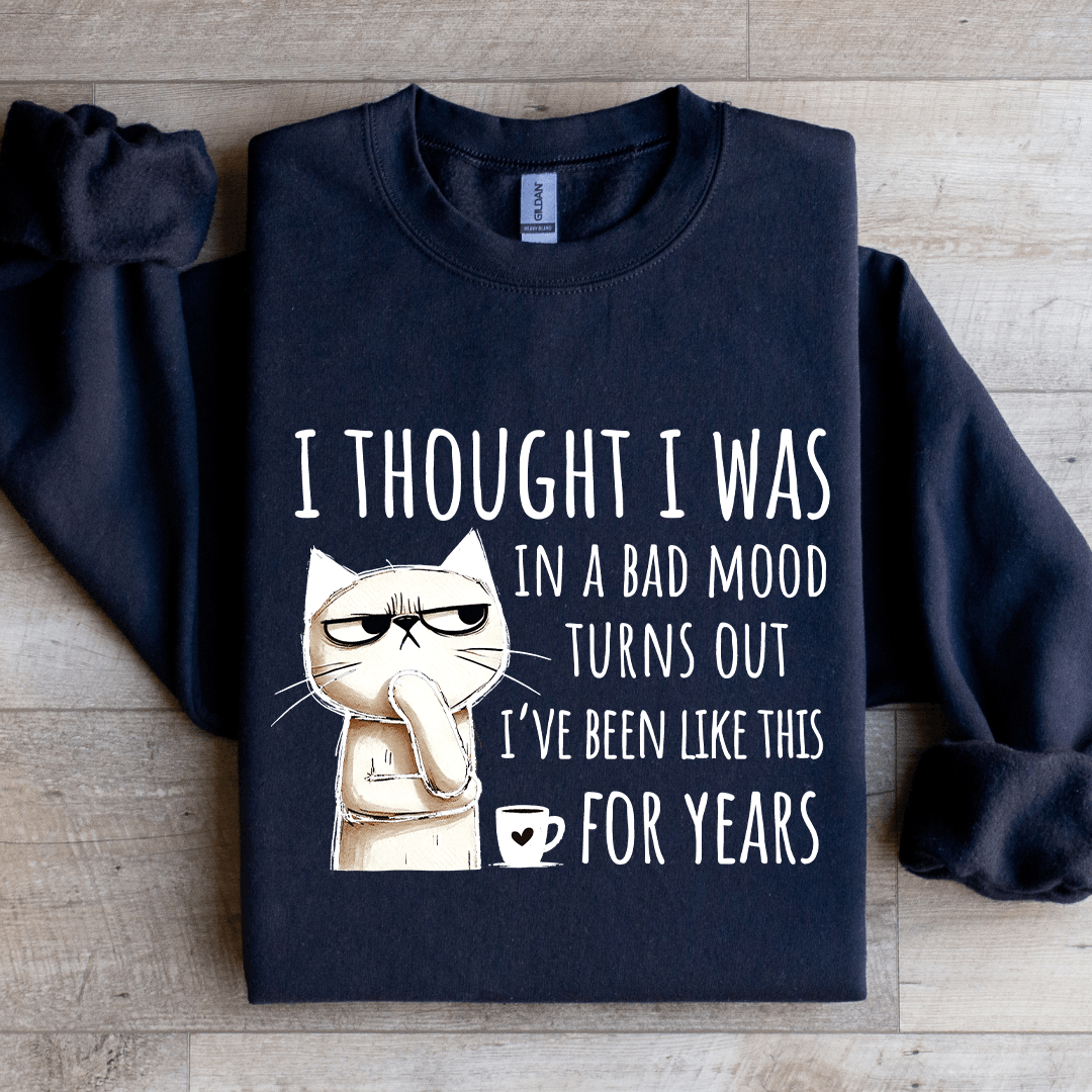 I Thought I Was In A Bad Mood Turns Out Sweatshirt