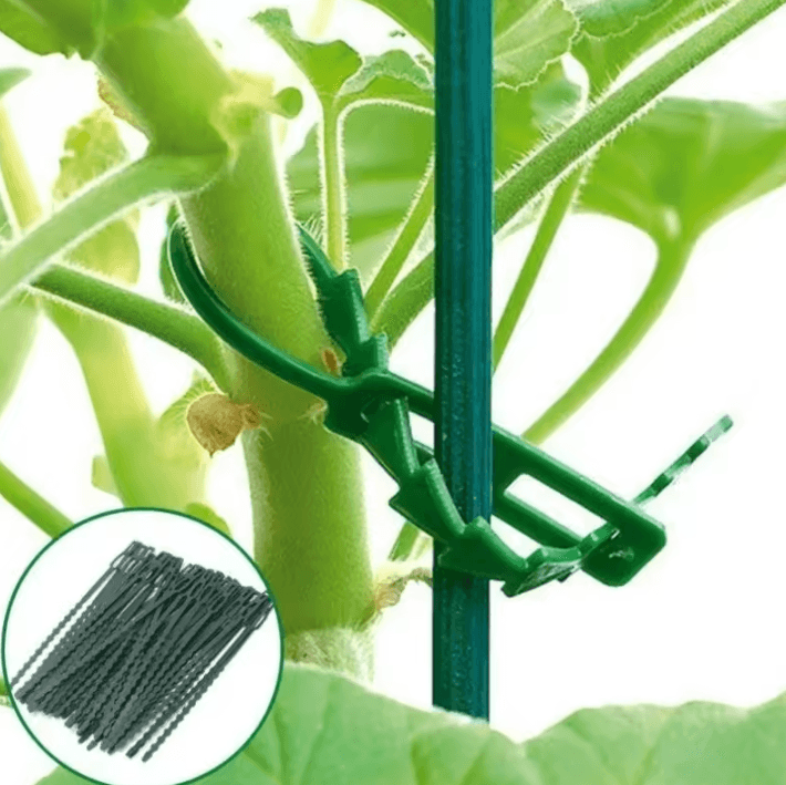 50 PCS Adjustable Reusable Plant Cable Ties – Garden Vine & Tomato Stem Support Clips