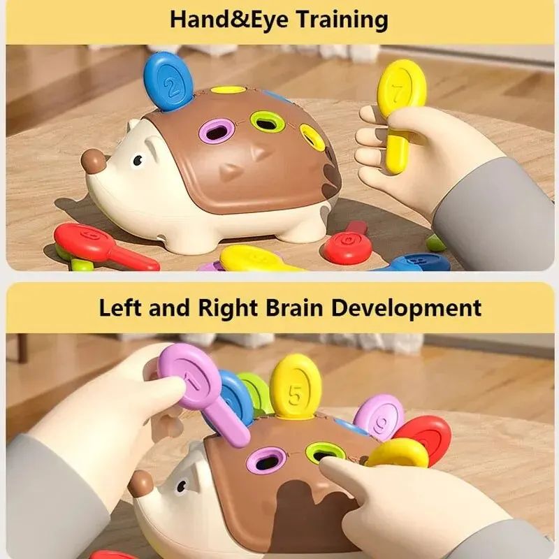Montessori Hedgehog Fine Motor Toy – Colorful Peg Sensory Learning Toy for Toddlers