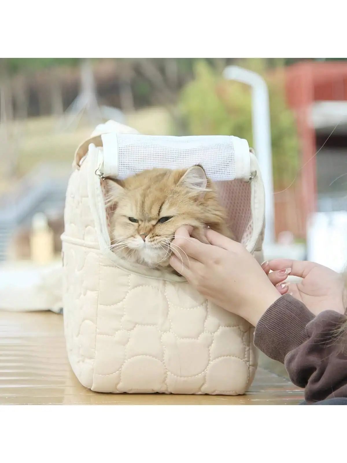 Breathable Pet Tote Carrier Bag