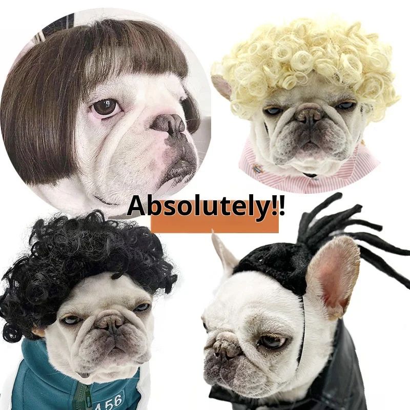 Funny Pet Wig Costume Accessory