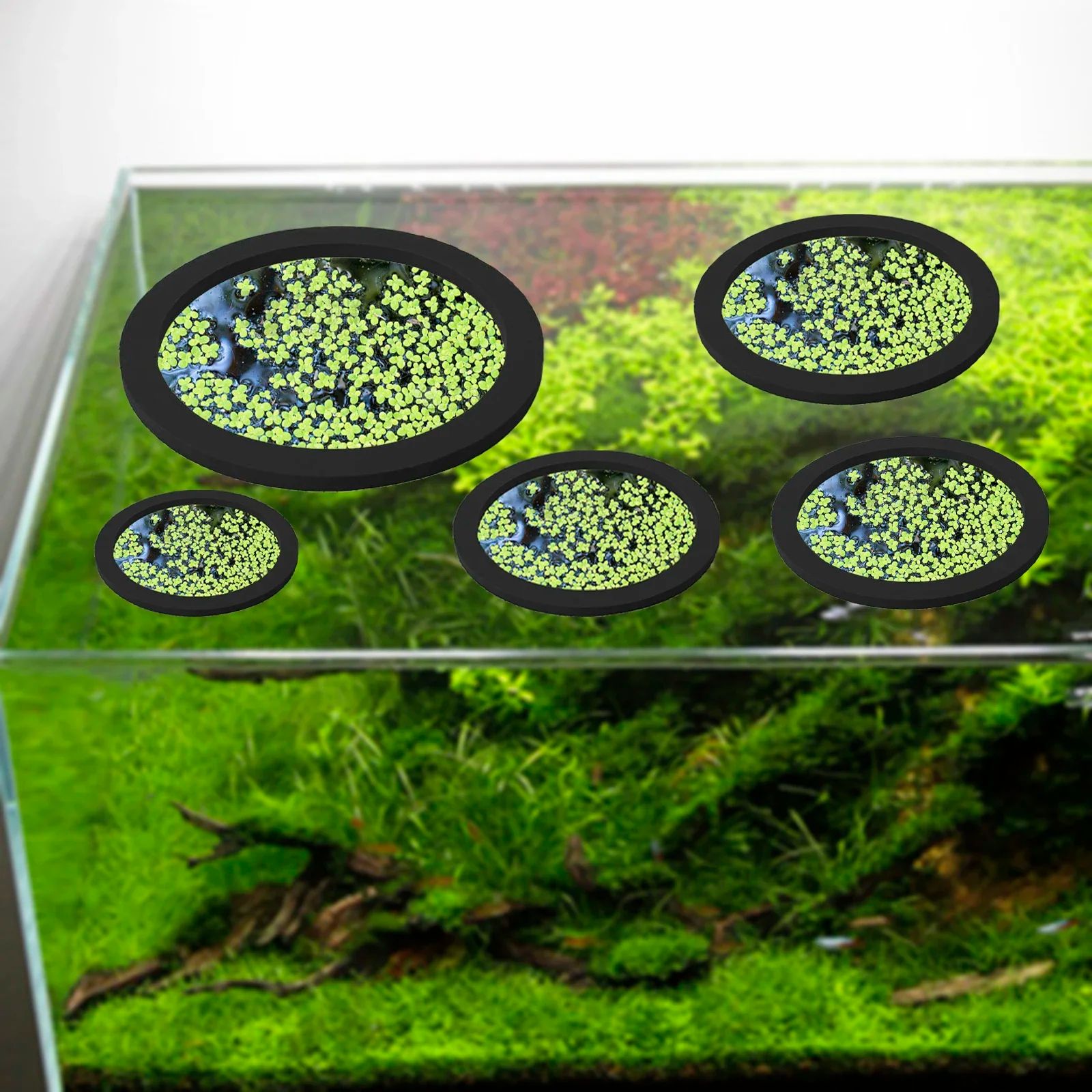 EVA Foam Aquarium Feeding Ring Set (5 Sizes) Floating Plant Corral Pack of 5