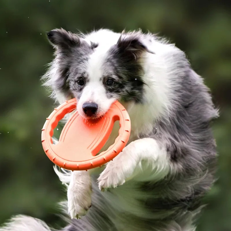 Dog Flying Disc Training Ring Bite Resistant Interactive Fetch Toy for Small and Medium Dogs