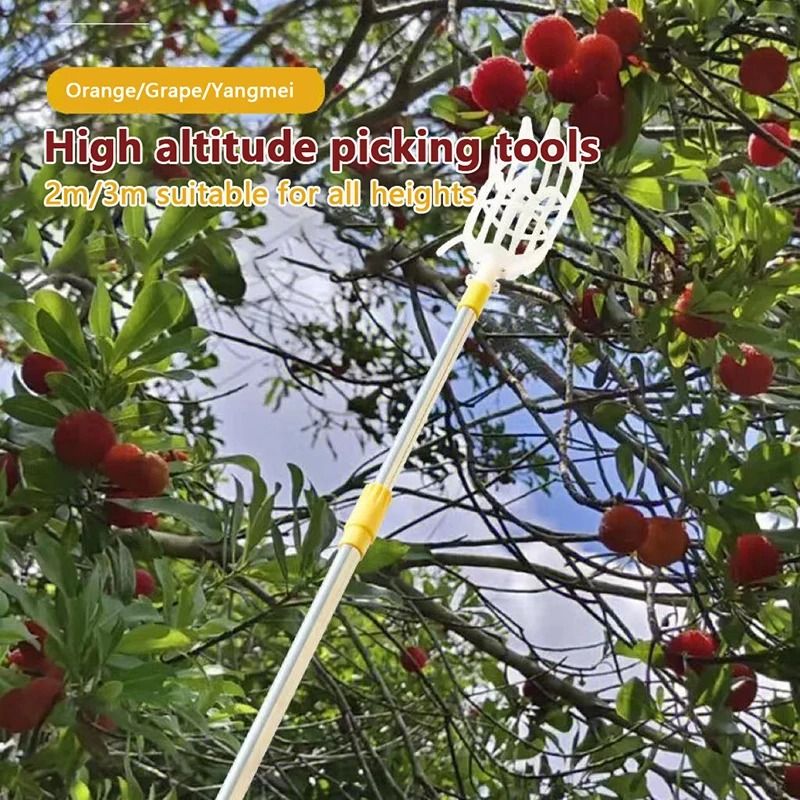 High-Altitude Precision Fruit Picker – Gentle Harvest Head for Loquats & Berries
