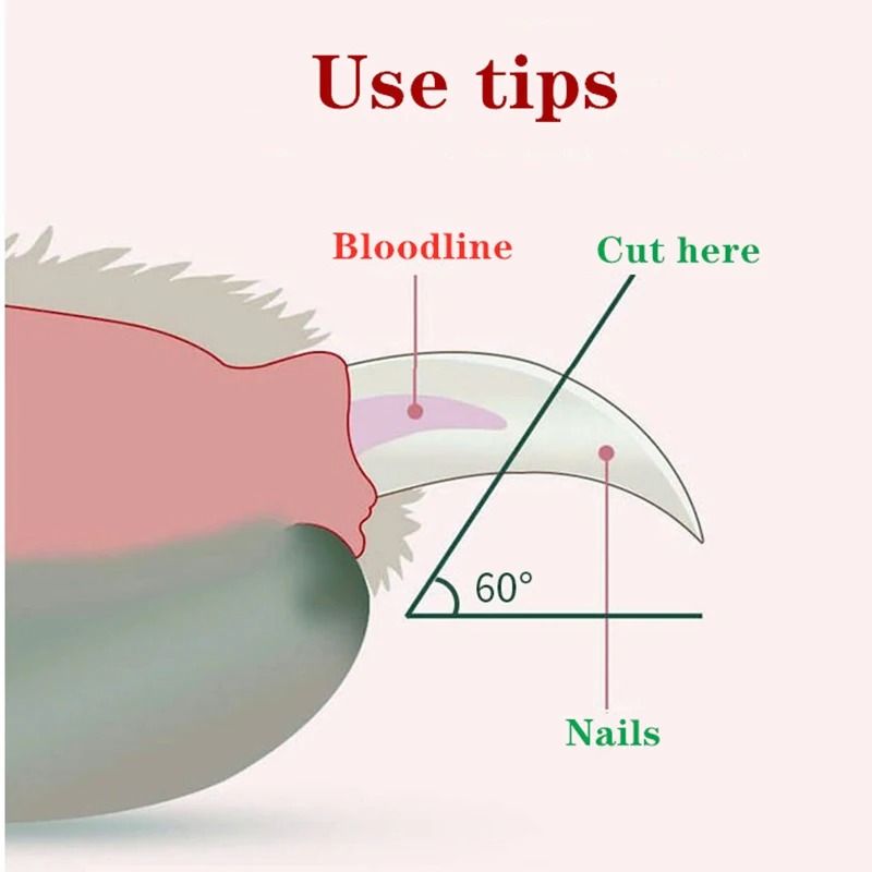 LED-Illuminated Pet Nail Clipper