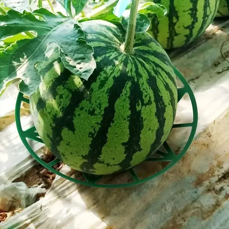Garden Fruit Support Tray