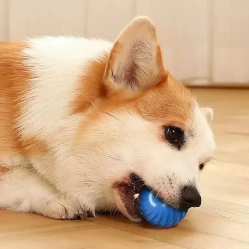 Automatic Moving Dog Ball Interactive USB Rechargeable Toy