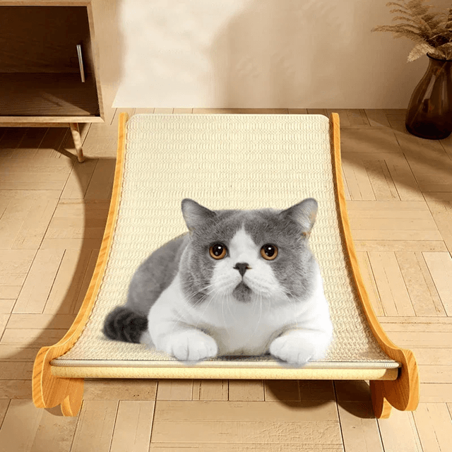 2 in 1 Wooden Cat Scratcher Bed Cozy Lounge and Scratch Pad for Indoor Cats