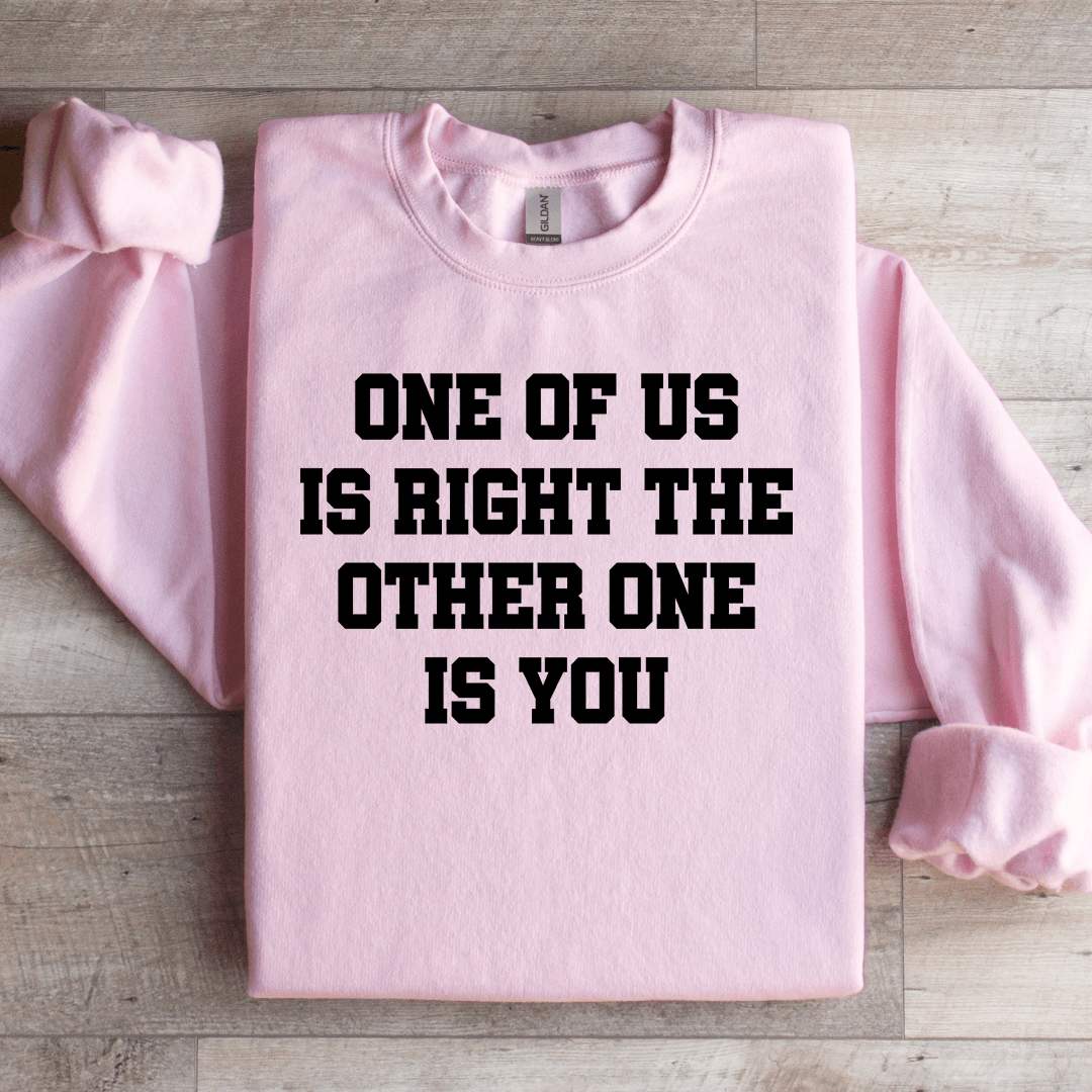 One Of Us Is Right The Other One Is You Sweatshirt