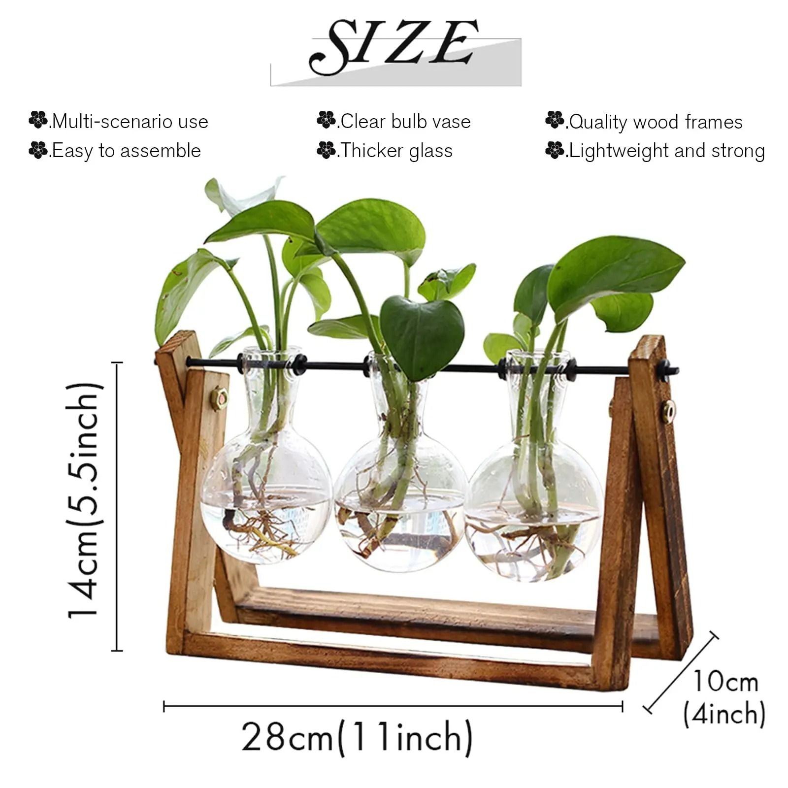 Hydroponic Plant Vase with Wooden Stand