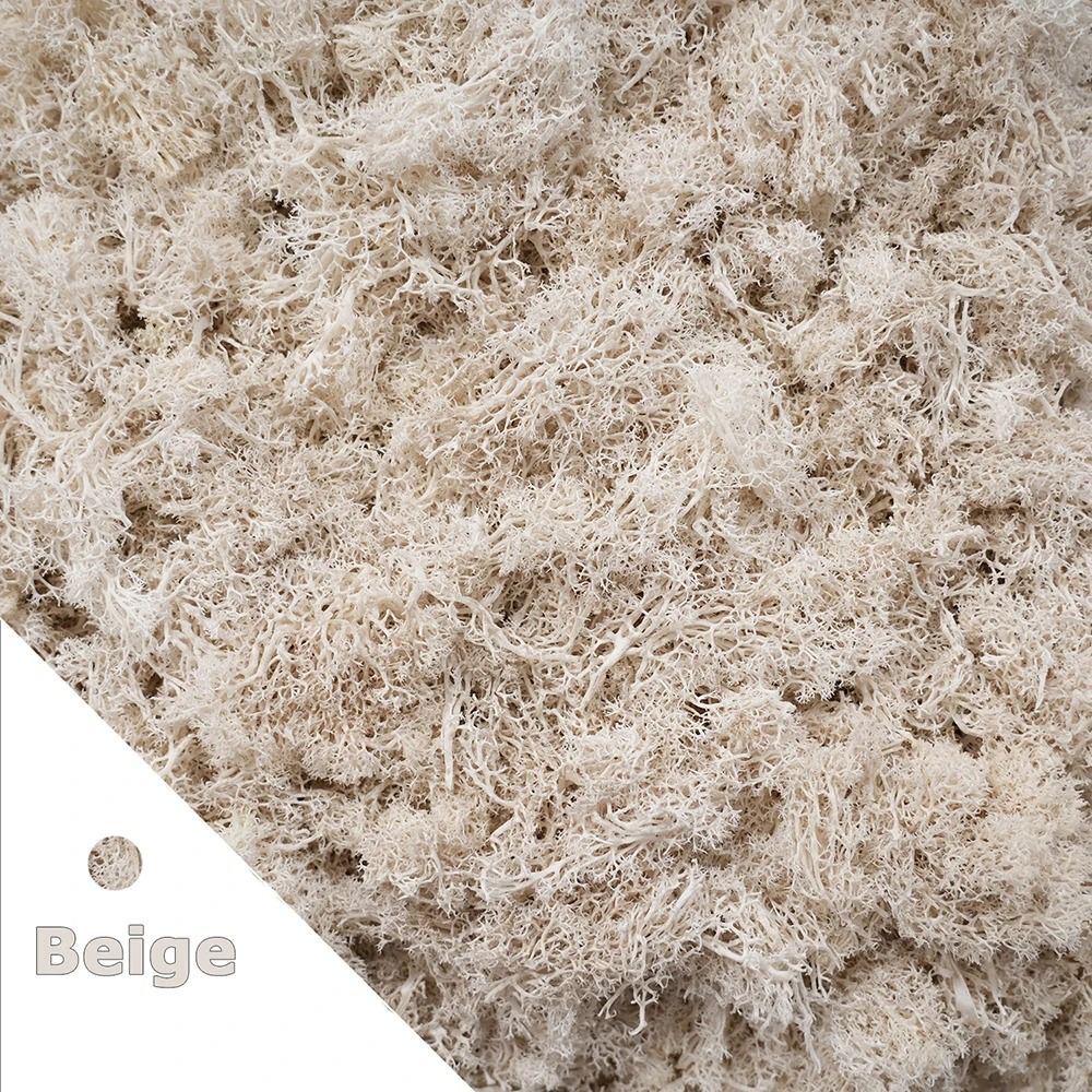 Premium Eternal Life Preserved Artificial Moss Grass