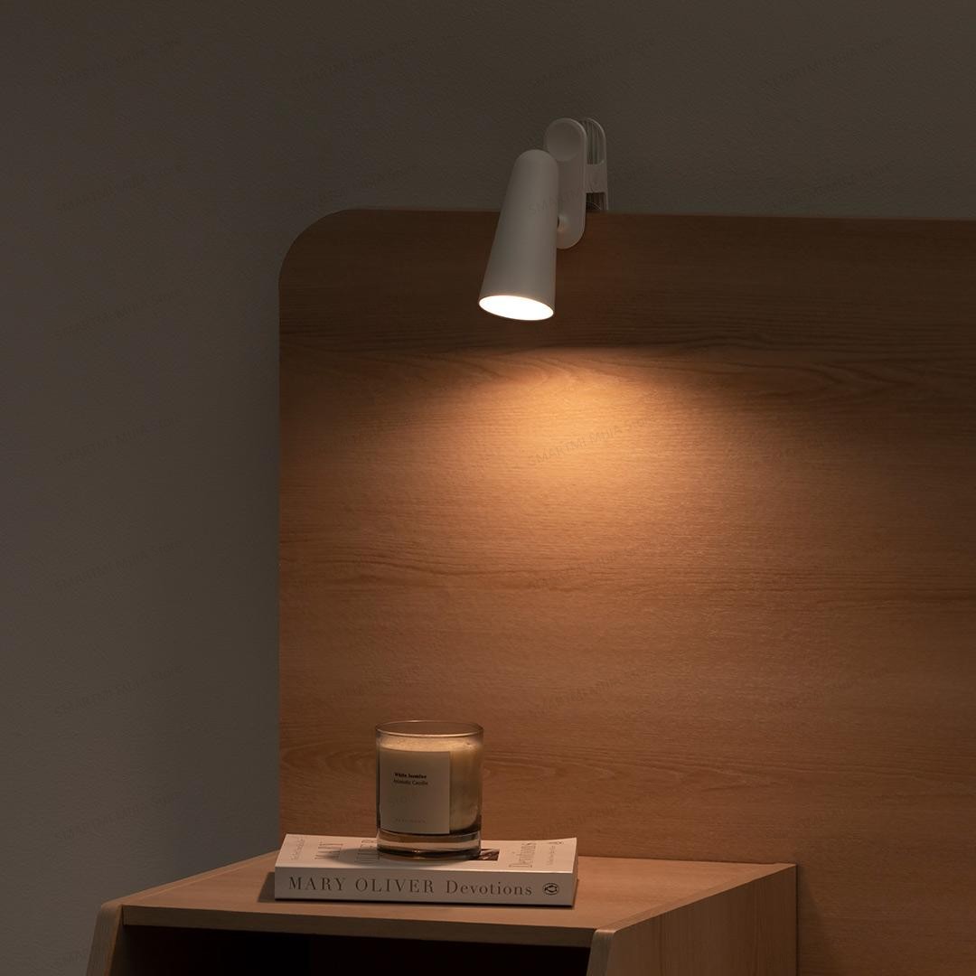 Flexible Rechargeable Lamp, 3 in 1 Desk and Clamp Lamp, USB C, 4 Lighting Modes