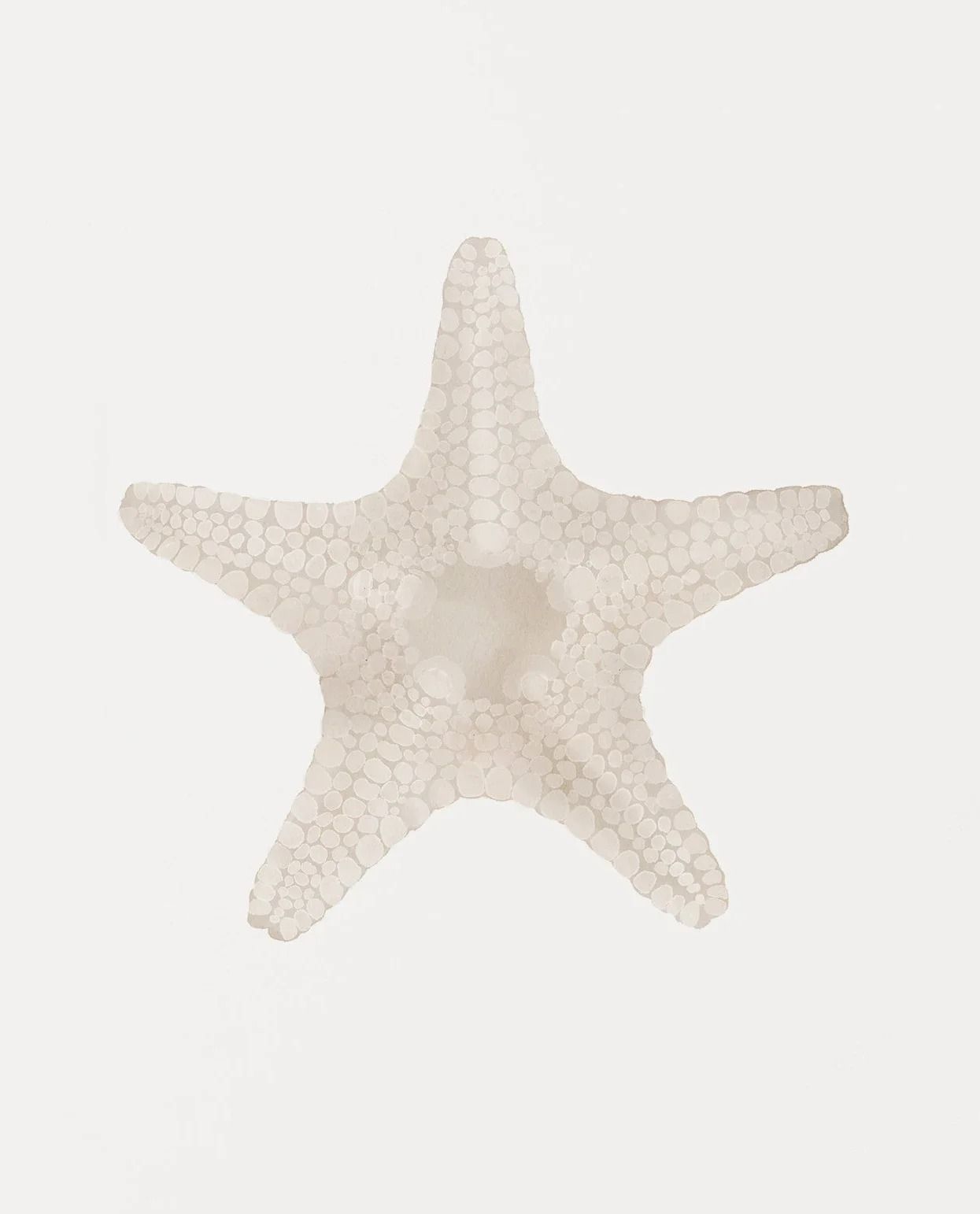 Coastal Wall Art Sea Shell Prints Starfish Canvas Art Beach Themed Decor Set