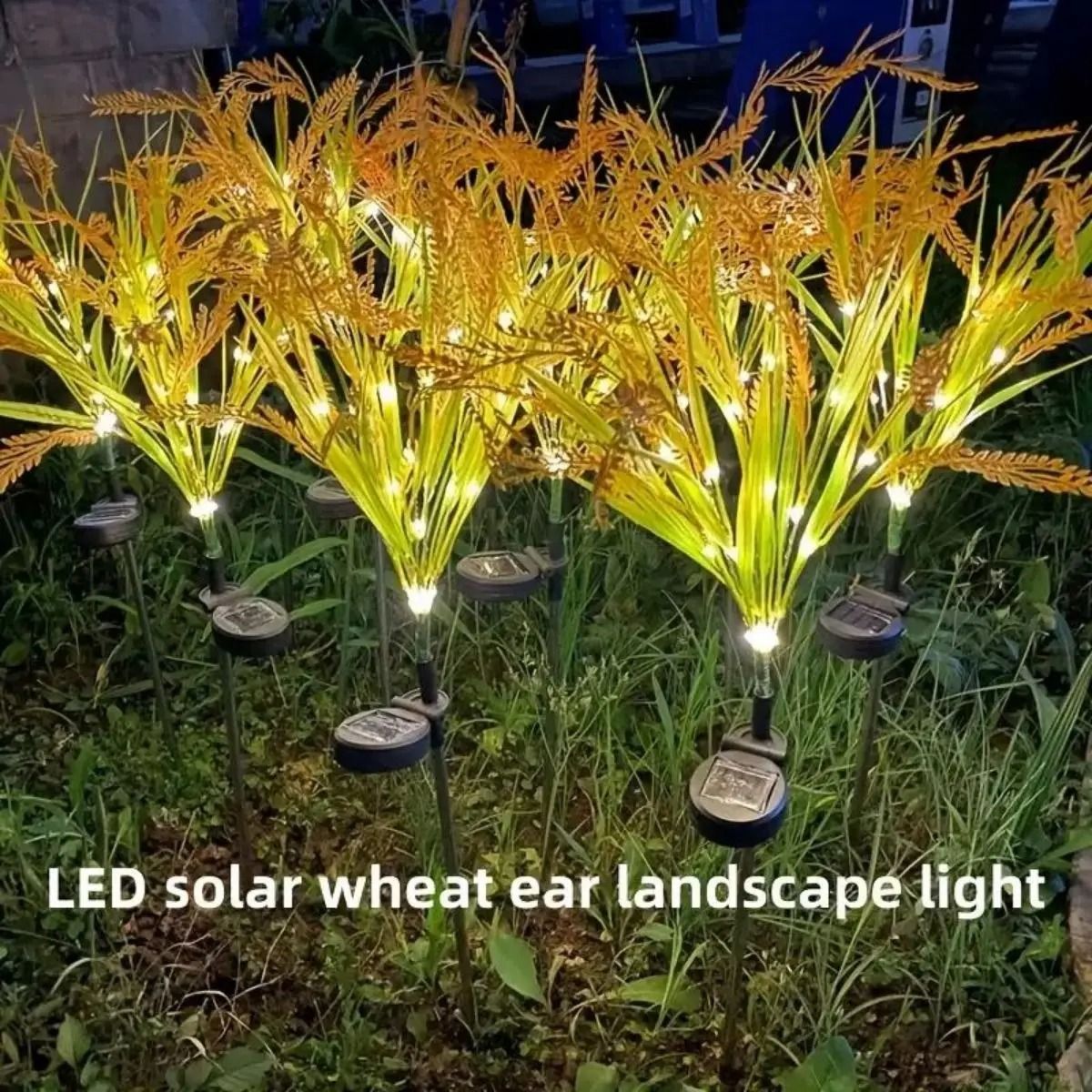 Vibrant Autumn Wheat Solar Pathway Lights