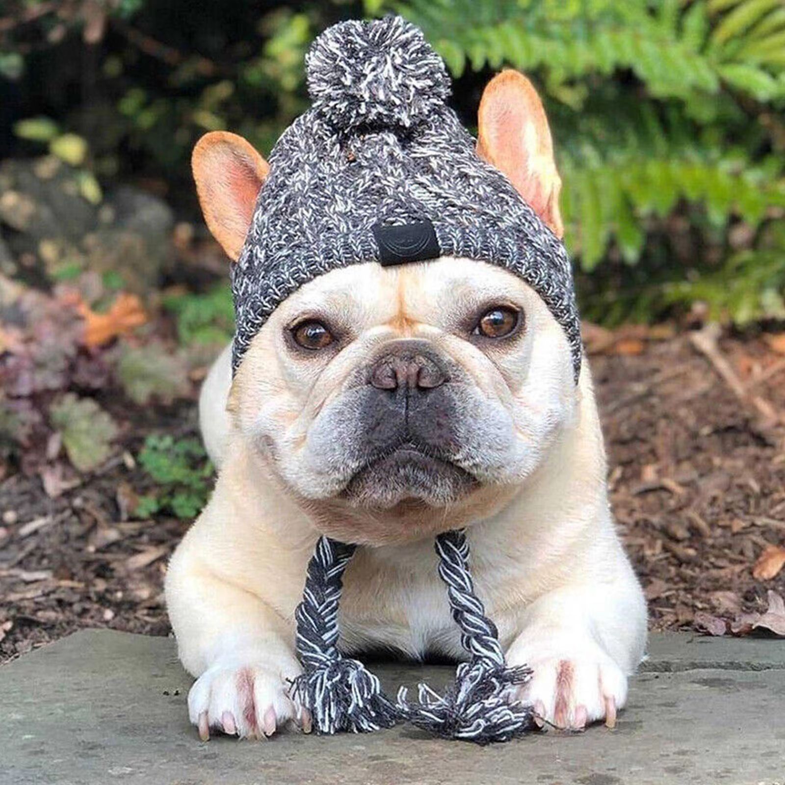 CozyPaws Windproof Knitted Winter Dog Hat with Fluffy Pom Pom