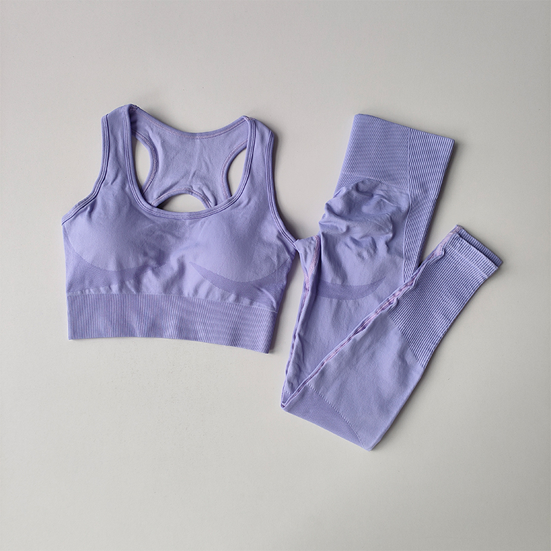 Women Sports Bra and Leggings Set, Shockproof Fitness Tank Top Yoga Suit, Beautiful Back Support Bra for Running