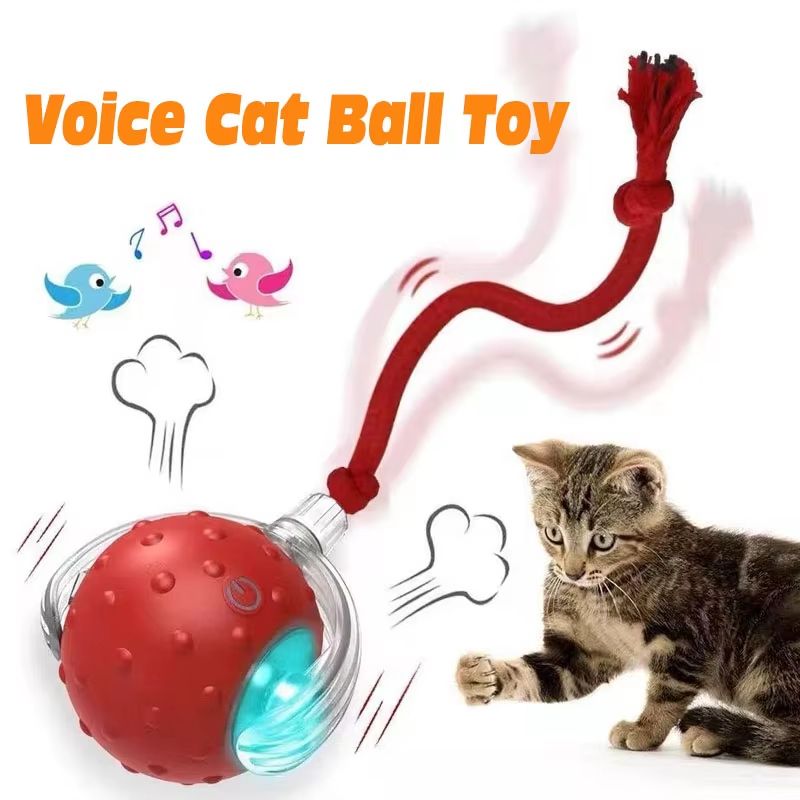 Smart Roll Play Cat Ball Toy USB Rechargeable Automatic Interactive for Cats