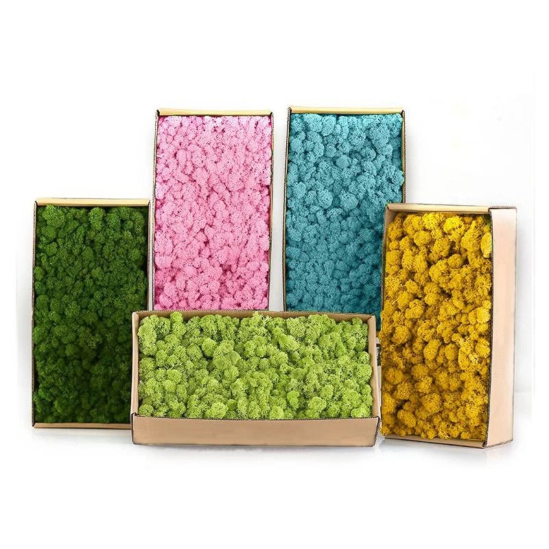 Artificial Eternal Moss Grass | Mini Landscape Greenery | Realistic DIY Craft Moss for Home & Garden
