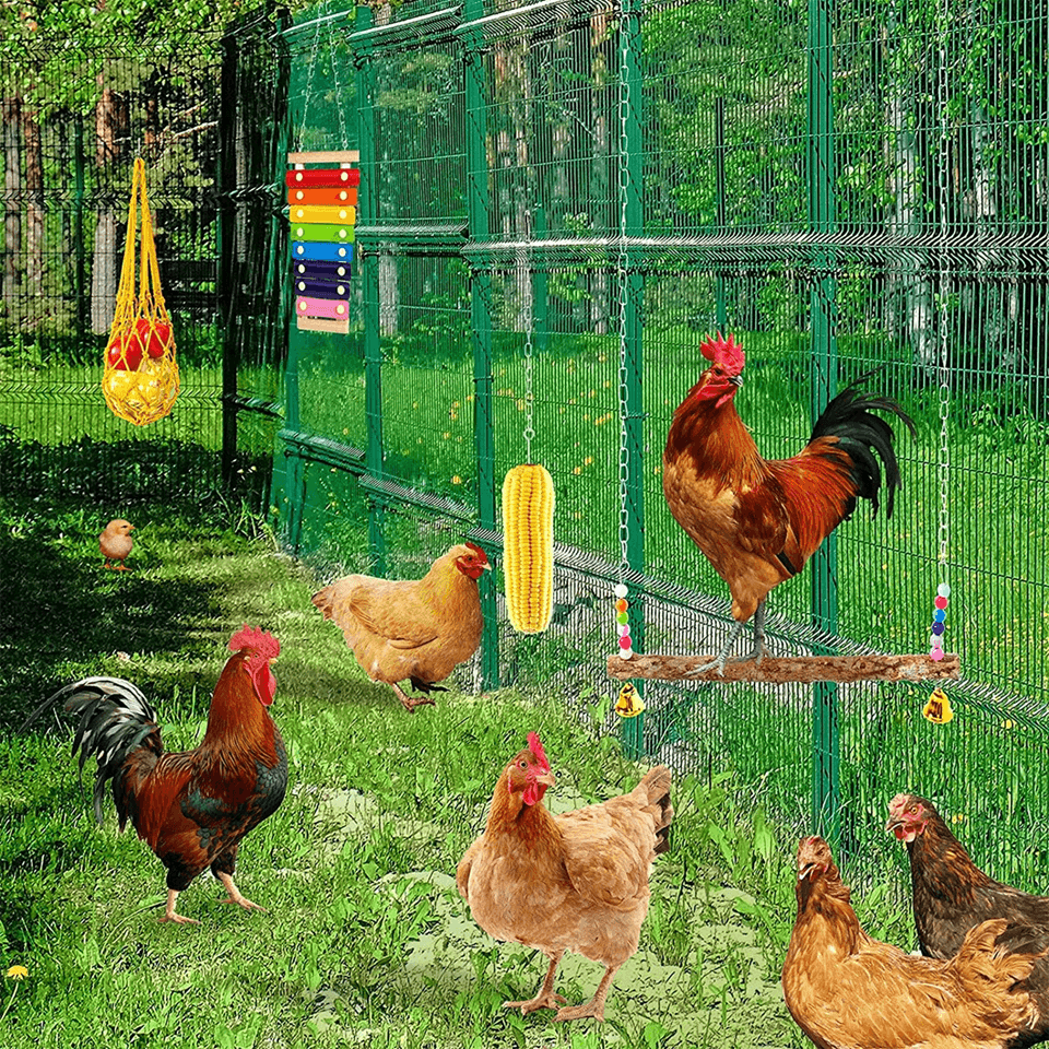 Chicken Foraging Toy Set Hanging Enrichment Toys for Poultry